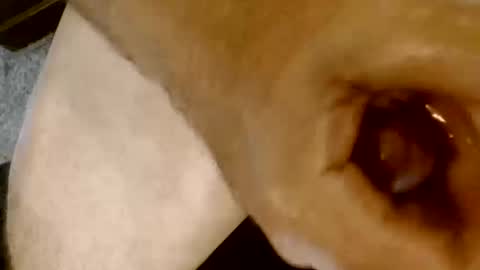 risingphoenix23 online show from 10-13-25, 09:26