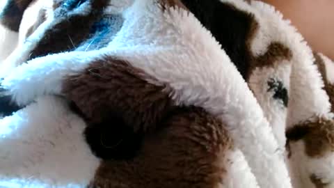 risingphoenix23 online show from 04-19-26, 10:12