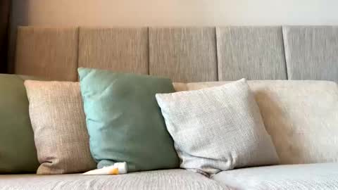 Snapshot of rockboy3000 chatting on 01-05-25, 11:55 rockboy3000 online show from 01-05-25, 11:55