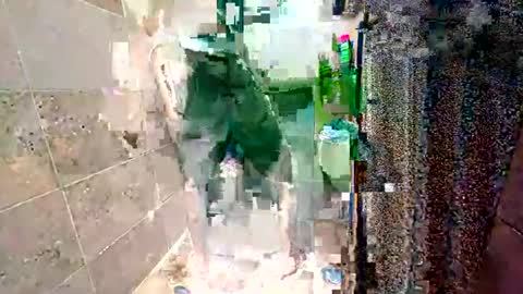 rockdrigo31 online show from 11-20-25, 05:51