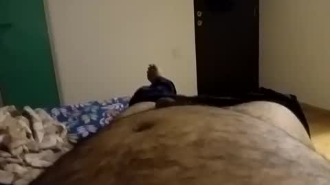 rockikoki online show from 02-09-26, 08:02