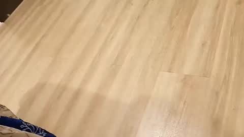 rockikoki online show from 03-16-26, 04:33