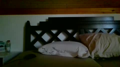 Snapshot of rockinger73 chatting on 01-01-25, 01:16 Mick online show from 01-01-25, 01:16