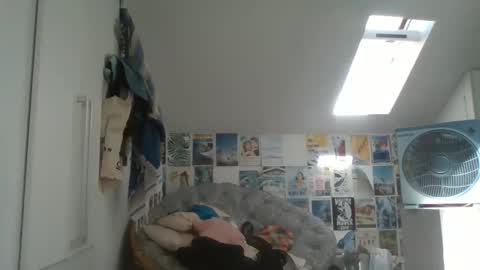 Snapshot of rodofra chatting on 03-13-26, 11:06 rodofra online show from 03-13-26, 11:06