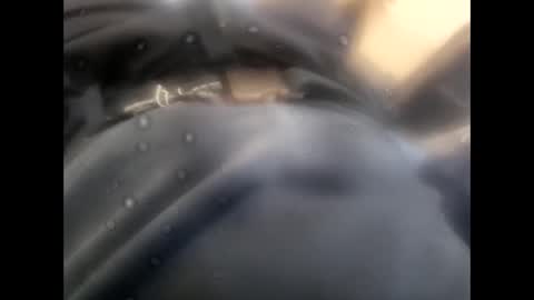 Snapshot of rollino83 chatting on 11-09-25, 08:45 rollino83 online show from 11-09-25, 08:45