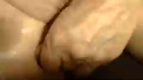 romantiko9 online show from 06-13-26, 05:33