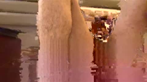 Sexyboyforlick online show from 11-29-25, 12:02