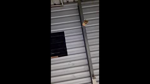 ronabater online show from 01-11-26, 08:36