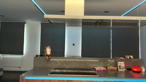 Ketlyn  is here now  help me get 50 thumbs up pls  online show from 04-02-26, 10:35