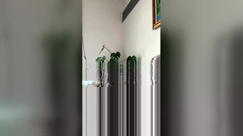 Roni Hall online show from 03-29-26, 06:08