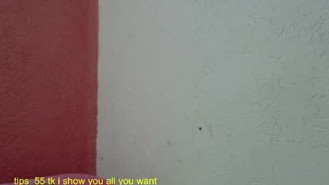 Snapshot of ronnispoto chatting on 01-27-25, 09:22 ronny online show from 01-27-25, 09:22