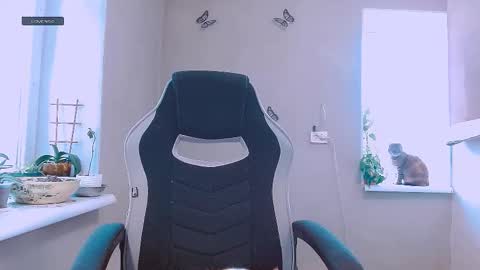 rosa843850 online show from 02-11-26, 12:32