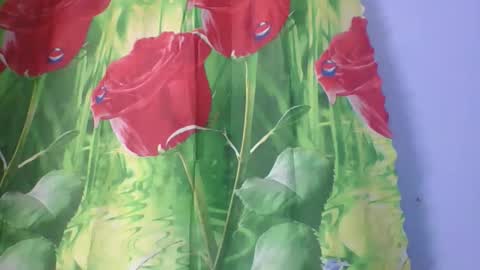 rosah225127 online show from 04-14-26, 02:28