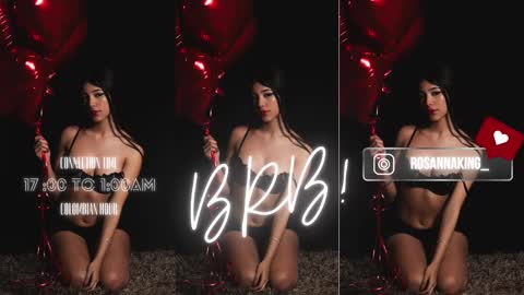 Snapshot of rosannaking chatting on 03-09-25, 04:49 Aleja online show from 03-09-25, 04:49