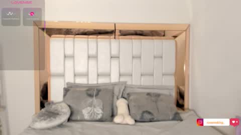 Snapshot of rosannaking chatting on 10-04-25, 08:40 Aleja online show from 10-04-25, 08:40