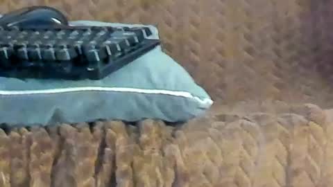 rouse_sexy_hotxx77 online show from 06-14-26, 03:08