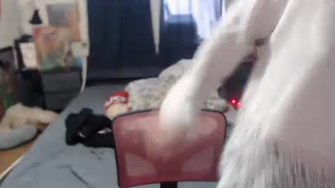 Snapshot of roxanneroulette chatting on 02-16-25, 03:16 Silver online show from 02-16-25, 03:16