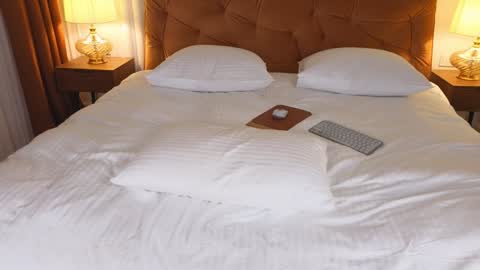 Im Roxy ntmu online show from 01-29-25, 03:37