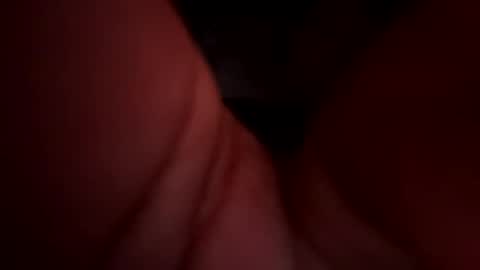 Royal SF online show from 12-15-24, 09:24