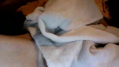 Snapshot of royboy2561 chatting on 10-11-25, 09:08 Roy Murrin online show from 10-11-25, 09:08