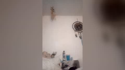 Snapshot of rraineonme chatting on 06-19-26, 07:56 rraineonme online show from 06-19-26, 07:56