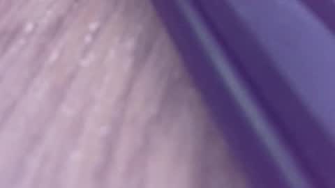 Snapshot of rudiandhisdick chatting on 03-26-26, 01:17 rudiandhisdick online show from 03-26-26, 01:17