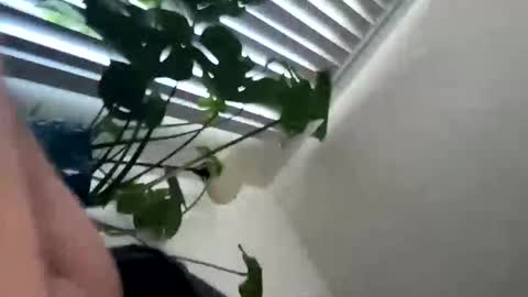 rula___1 online show from 02-04-26, 10:47