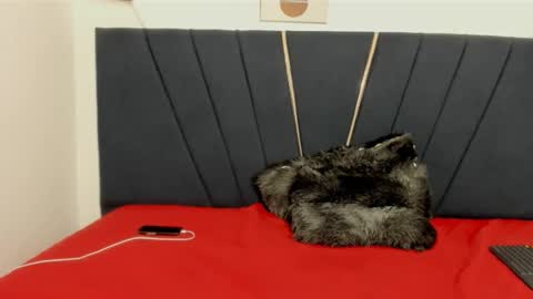 Snapshot of ryder_cum23 chatting on 11-12-25, 03:40 ryder_cum23 online show from 11-12-25, 03:40