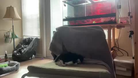 sabrosocockcarnesandwich online show from 10-05-25, 02:59