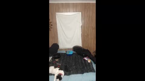 PupTwink online show from 02-03-26, 06:22