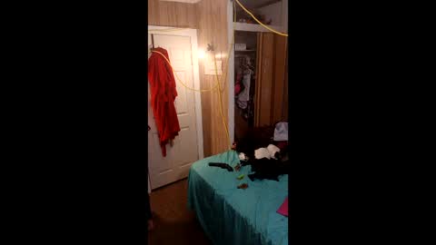 PupTwink online show from 03-01-26, 10:34