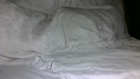 SD17 online show from 02-05-25, 01:44