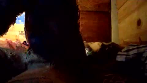 Penoso online show from 12-14-25, 10:09