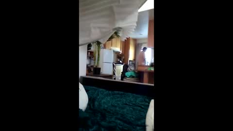 salis1981 online show from 03-12-26, 06:58