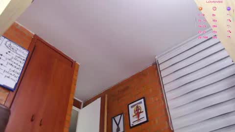 Snapshot of salome_sw chatting on 06-11-26, 12:32 SAMANTHA online show from 06-11-26, 12:32