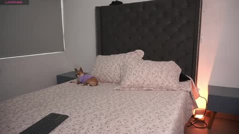 salomedyla online show from 04-16-26, 09:39