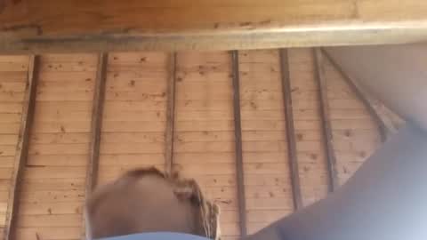 Alejandra  online show from 03-08-25, 12:09