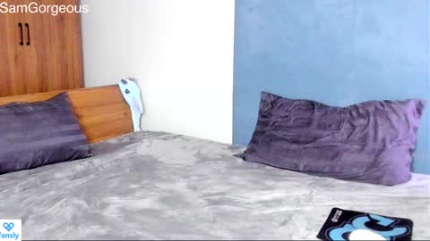 Snapshot of samgorgeous chatting on 12-17-24, 02:55 Fansly - Top4fans online show from 12-17-24, 02:55