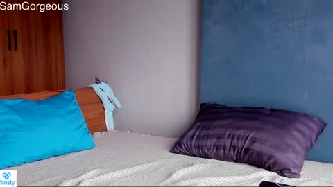 Snapshot of samgorgeous chatting on 12-28-24, 06:17 Fansly - Top4fans online show from 12-28-24, 06:17