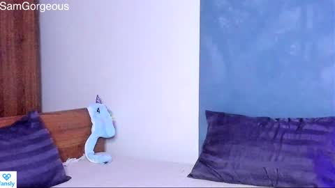 Snapshot of samgorgeous chatting on 01-21-25, 02:37 Fansly - Top4fans online show from 01-21-25, 02:37