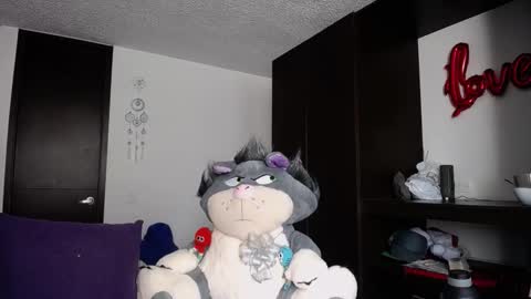 Snapshot of santii_rose chatting on 01-20-25, 06:53 Santii online show from 01-20-25, 06:53