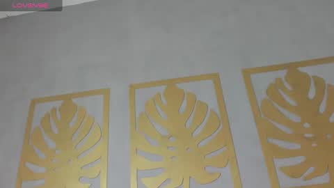 Snapshot of sara_castro24 chatting on 01-29-25, 12:02 Sara online show from 01-29-25, 12:02