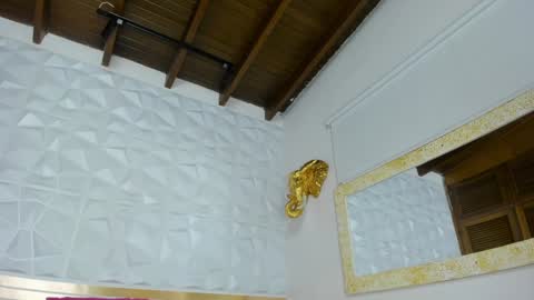 Sara Collins online show from 01-24-25, 02:51