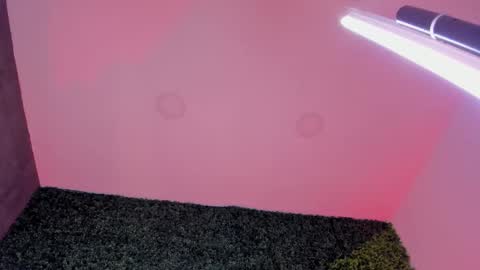 Sarah Bonneth online show from 02-26-26, 11:53