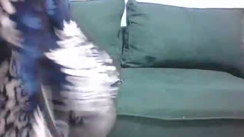 sarah_haggai online show from 11-04-25, 04:11