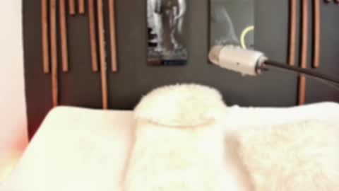     online show from 12-09-24, 04:58