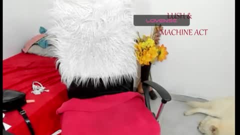 Sarah online show from 05-15-26, 05:42