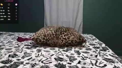 Snapshot of sarahsteveson chatting on 06-29-26, 03:02 Sarah Babes online show from 06-29-26, 03:02