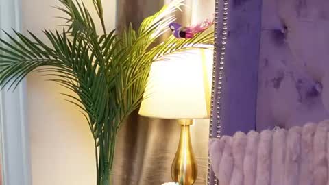  Sarai  online show from 07-14-26, 03:55