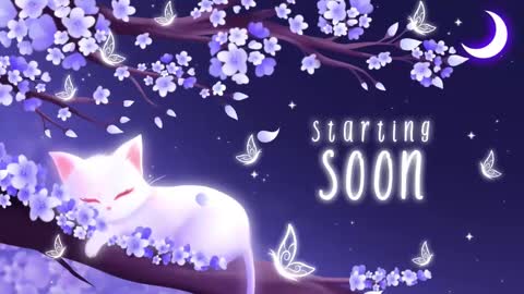 Sassy Sami Kittyn online show from 03-11-25, 05:05